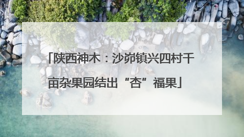 陕西神木：沙峁镇兴四村千亩杂果园结出“杏”福果