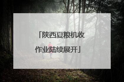 陕西夏粮机收作业陆续展开