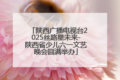 陕西广播电视台2025丝路星未来-陕西省少儿六一文艺晚会圆满举办