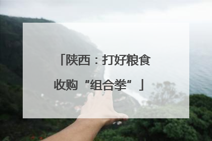 陕西：打好粮食收购“组合拳”