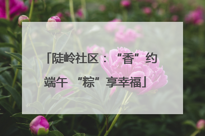 陡岭社区：“香”约端午 “粽”享幸福