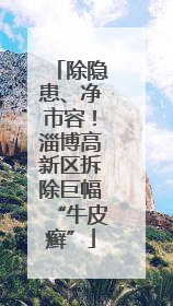 除隐患、净市容！淄博高新区拆除巨幅“牛皮癣”