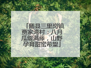 随县三里岗镇贾家湾村：八月瓜缀满藤，山野孕育甜蜜希望