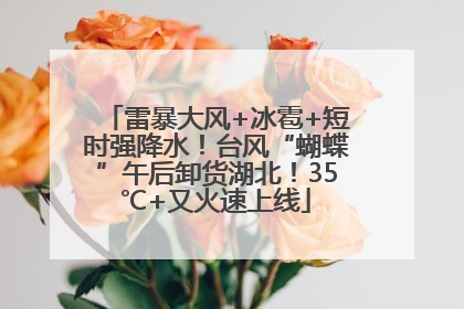 雷暴大风+冰雹+短时强降水！台风“蝴蝶”午后卸货湖北！35℃+又火速上线