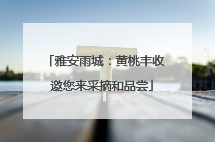 雅安雨城：黄桃丰收 邀您来采摘和品尝