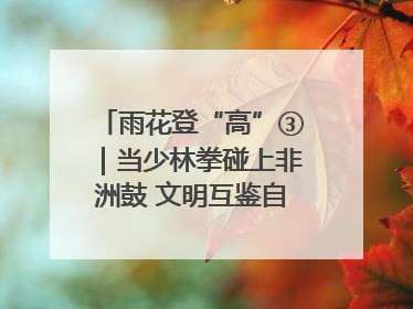 雨花登“高”③｜当少林拳碰上非洲鼓 文明互鉴自有动人韵律