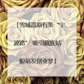 雪域高原有条“宁波路” 吸引藏族姑娘萌发创业梦