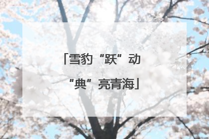 雪豹“跃”动 “典”亮青海