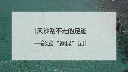 风沙刮不走的足迹——彰武“逐绿”记