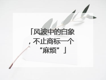 风波中的白象，不止商标一个“麻烦”