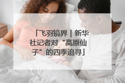 飞羽镜界｜新华社记者对“高原仙子”的四季追寻