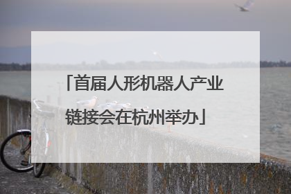 首届人形机器人产业链接会在杭州举办