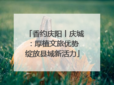 香约庆阳丨庆城：厚植文旅优势 绽放县域新活力