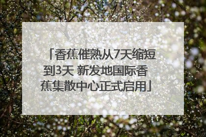 香蕉催熟从7天缩短到3天 新发地国际香蕉集散中心正式启用
