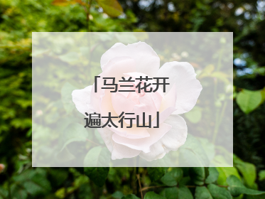 马兰花开遍太行山