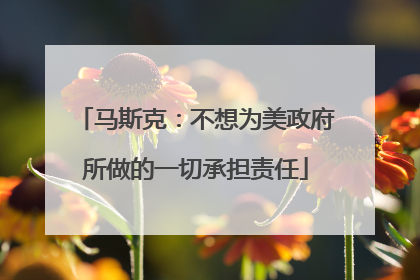 马斯克：不想为美政府所做的一切承担责任