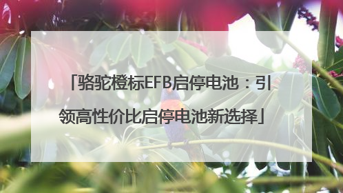 骆驼橙标EFB启停电池：引领高性价比启停电池新选择
