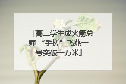 高二学生成火箭总师 “手搓”飞燕一号突破一万米