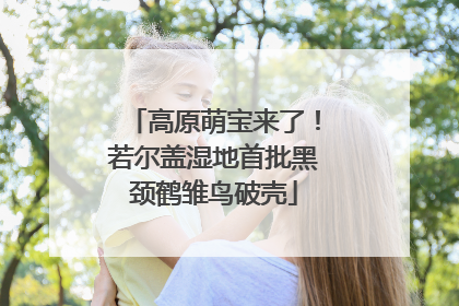 高原萌宝来了！若尔盖湿地首批黑颈鹤雏鸟破壳