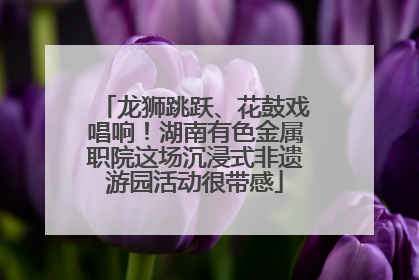 龙狮跳跃、花鼓戏唱响！湖南有色金属职院这场沉浸式非遗游园活动很带感