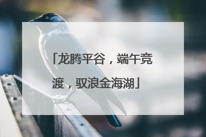 龙腾平谷，端午竞渡，驭浪金海湖