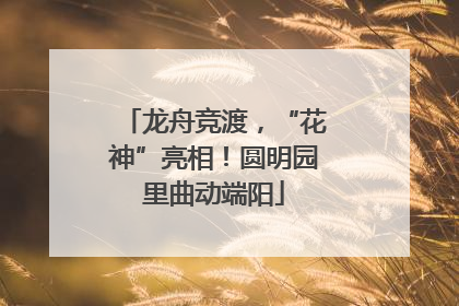 龙舟竞渡，“花神”亮相！圆明园里曲动端阳