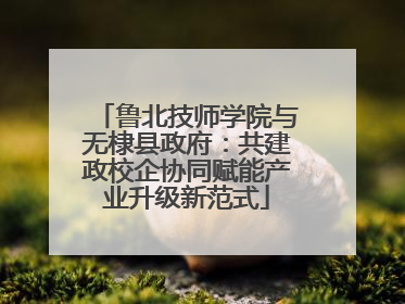 鲁北技师学院与无棣县政府：共建政校企协同赋能产业升级新范式