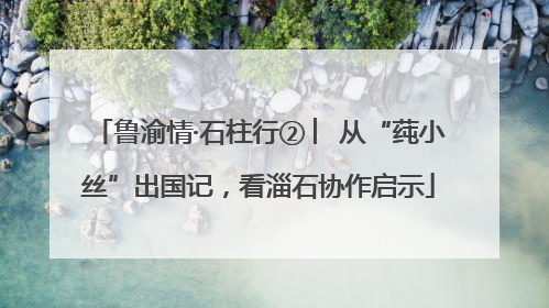 鲁渝情·石柱行② ︳从“莼小丝”出国记，看淄石协作启示