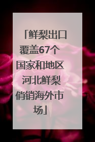 鲜梨出口覆盖67个国家和地区 河北鲜梨俏销海外市场