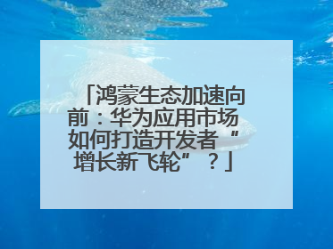 鸿蒙生态加速向前：华为应用市场如何打造开发者“增长新飞轮”？