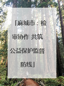 麻城市：检审协作 共筑公益保护监督防线
