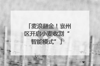 麦浪翻金！襄州区开启小麦收割“智能模式”