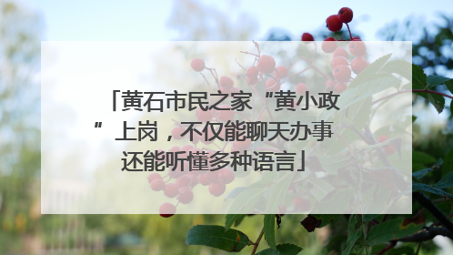 黄石市民之家“黄小政”上岗，不仅能聊天办事还能听懂多种语言