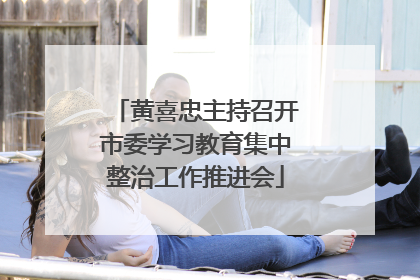 黄喜忠主持召开市委学习教育集中整治工作推进会