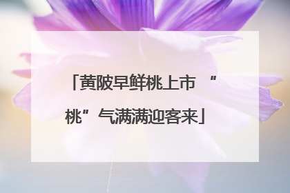 黄陂早鲜桃上市 “桃”气满满迎客来