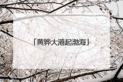 黄骅大港起渤海