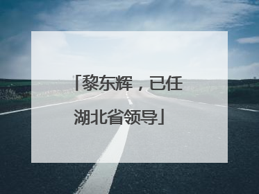黎东辉，已任湖北省领导