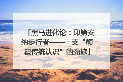 黑马进化论：印第安纳步行者——一支“颠覆传统认识”的劲旅