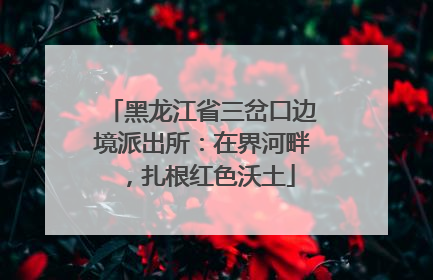 黑龙江省三岔口边境派出所：在界河畔，扎根红色沃土