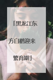 黑龙江东方白鹳迎来繁育期