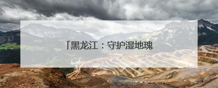 黑龙江：守护湿地瑰宝 绘就生态新篇