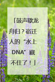 鼓声歇龙舟归？宿迁人的“水上DNA”藏不住了！