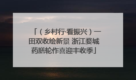 （乡村行·看振兴）一田双收绘新景 浙江婺城药膳轮作喜迎丰收季