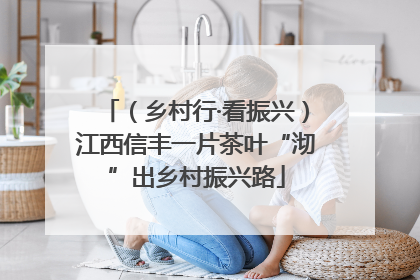（乡村行·看振兴）江西信丰一片茶叶“沏”出乡村振兴路
