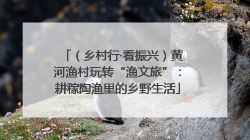 （乡村行·看振兴）黄河渔村玩转“渔文旅”：耕稼陶渔里的乡野生活