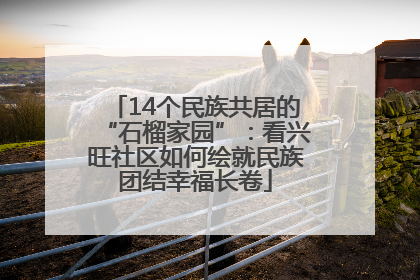 14个民族共居的“石榴家园”：看兴旺社区如何绘就民族团结幸福长卷