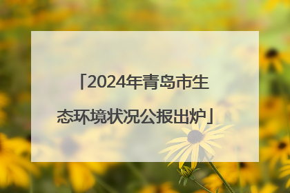 2024年青岛市生态环境状况公报出炉