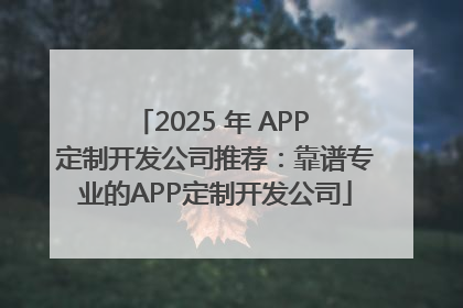 2025 年 APP 定制开发公司推荐：靠谱专业的APP定制开发公司