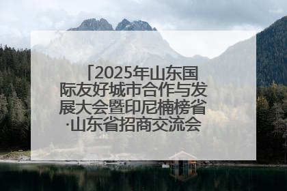 2025年山东国际友好城市合作与发展大会暨印尼楠榜省·山东省招商交流会在济南槐荫举行
