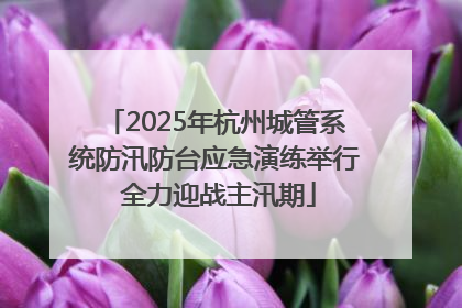 2025年杭州城管系统防汛防台应急演练举行 全力迎战主汛期